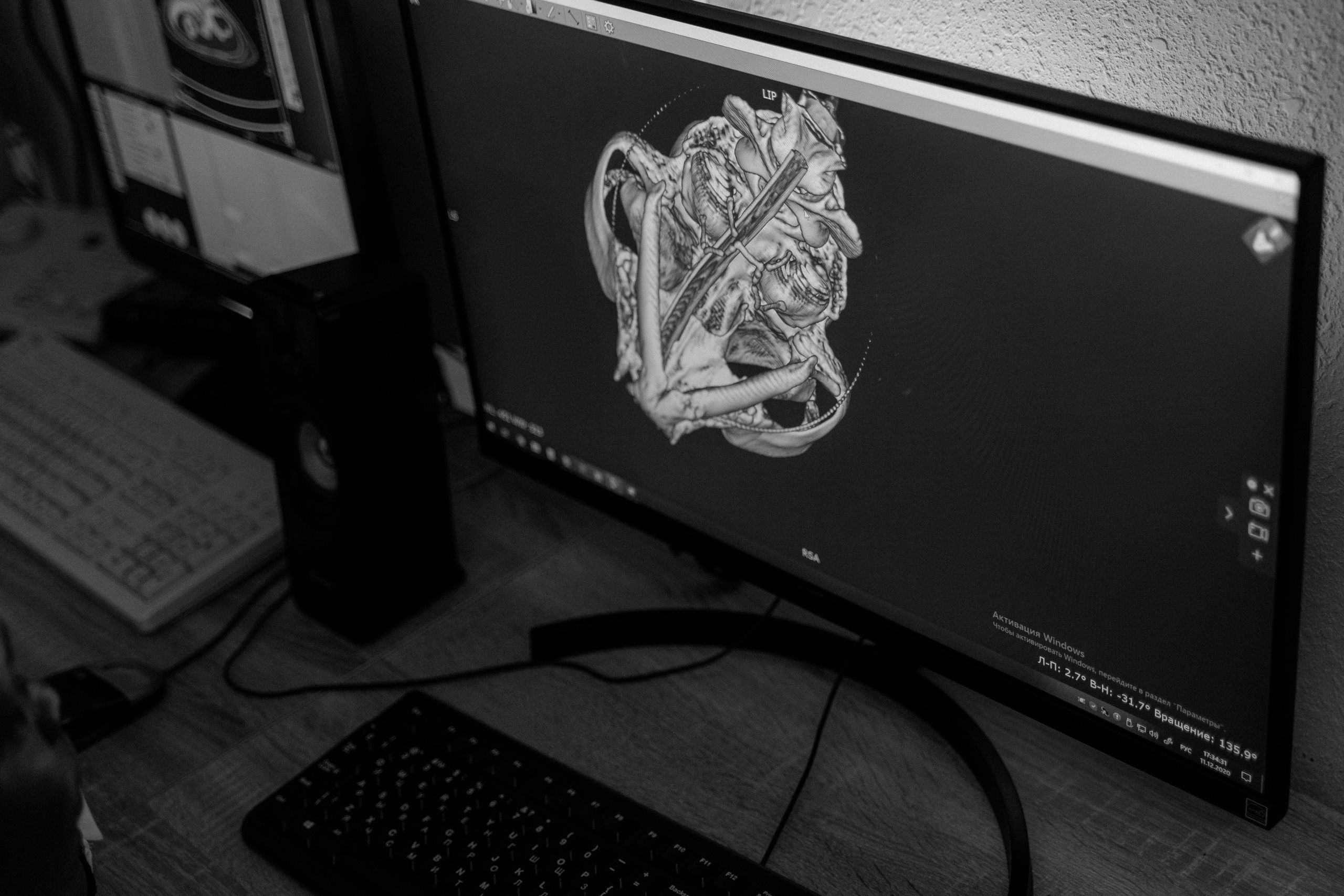 A black and white image of a skull on a computer monitor in a workspace.