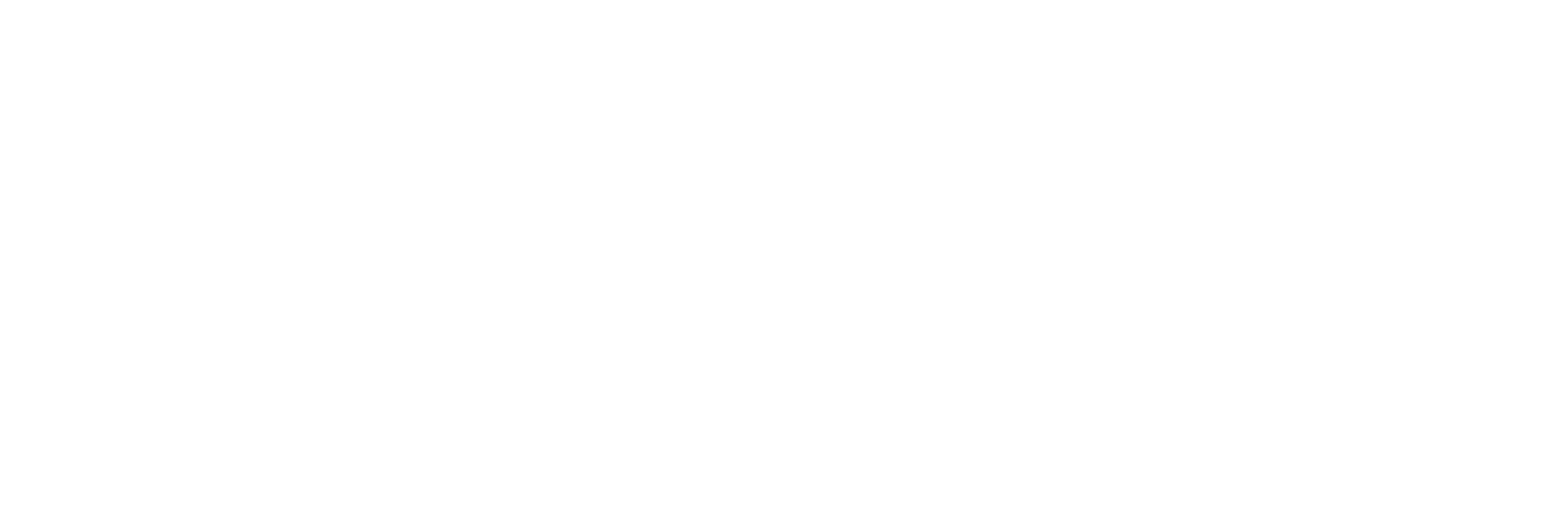 Belenus Consulting GmbH